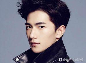 最像的明星有谁,盘点与某某明星最相似的网红/艺人