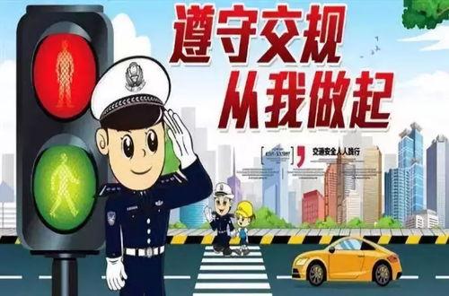 交通规则头条文章,头条文章深度剖析