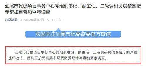 广东新闻今日爆料,揭秘重大事件背后真相