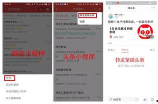 分享自己的头条小程序,我的个性化内容之旅