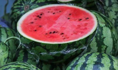 婷儿吃瓜记录,揭秘娱乐圈那些事儿